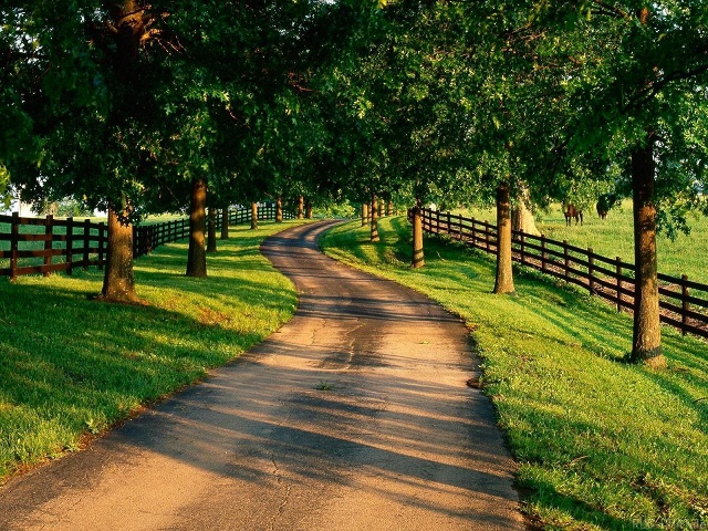 ddos在线压力测试平台